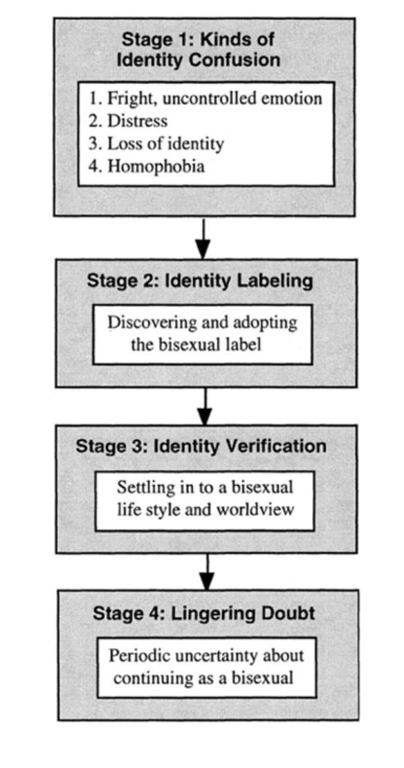 Weinberg Bisexual Identity Development Model, 1994